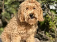 processed/d0c5341e-7bf9-4352-a420-f67d03a43396/facility/1868e7b9-7e49-44cb-9df2-23b2dccddcd9