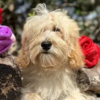 processed/d0c5341e-7bf9-4352-a420-f67d03a43396/facility/8860bd1a-8f9e-4f4c-88f4-50ce6fcf2d49