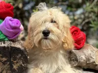 processed/d0c5341e-7bf9-4352-a420-f67d03a43396/facility/8860bd1a-8f9e-4f4c-88f4-50ce6fcf2d49