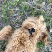 processed/d0c5341e-7bf9-4352-a420-f67d03a43396/facility/9069bb6c-5bd7-4679-809e-cfa3f4ce0a14