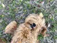 processed/d0c5341e-7bf9-4352-a420-f67d03a43396/facility/9069bb6c-5bd7-4679-809e-cfa3f4ce0a14