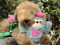 processed/d0c5341e-7bf9-4352-a420-f67d03a43396/facility/9e16d673-8825-4af4-9797-116a917807e2