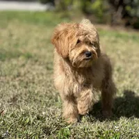 processed/d0c5341e-7bf9-4352-a420-f67d03a43396/facility/b38f8434-5092-4c44-bce5-a9d7d2ff0274