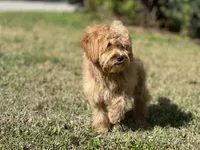 processed/d0c5341e-7bf9-4352-a420-f67d03a43396/facility/b38f8434-5092-4c44-bce5-a9d7d2ff0274