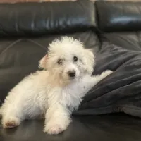 processed/d0c5341e-7bf9-4352-a420-f67d03a43396/facility/b3e918e2-9475-47d5-b9a9-909ff22b226f