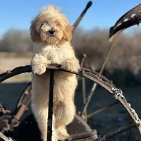 processed/d0c5341e-7bf9-4352-a420-f67d03a43396/facility/dbff5a67-4ff2-4f50-a9df-0d0e56c6ff21