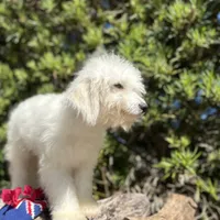 processed/d0c5341e-7bf9-4352-a420-f67d03a43396/facility/f060ad6c-abd1-447d-9939-e821ea63c13f