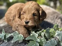 processed/d0c5341e-7bf9-4352-a420-f67d03a43396/listing/43154095-92a9-4af7-b499-89e4e4a05648/0386cdea-e6de-4a97-9b2a-26077c33d4d5