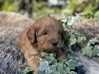 processed/d0c5341e-7bf9-4352-a420-f67d03a43396/listing/43154095-92a9-4af7-b499-89e4e4a05648/18547209-7836-4477-88fd-e4fed57b1159