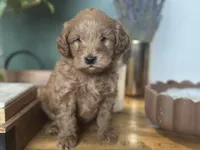 processed/d0c5341e-7bf9-4352-a420-f67d03a43396/listing/43154095-92a9-4af7-b499-89e4e4a05648/7a80539d-a988-4ef4-810f-d1a8d4f7f9a9