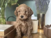 processed/d0c5341e-7bf9-4352-a420-f67d03a43396/listing/43154095-92a9-4af7-b499-89e4e4a05648/bf0b432b-8ab7-4027-8163-e0285d70ea93