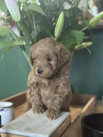 processed/d0c5341e-7bf9-4352-a420-f67d03a43396/listing/43154095-92a9-4af7-b499-89e4e4a05648/db2a2bb0-fd3d-4444-9776-72a0ba6a2c24