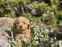 processed/d0c5341e-7bf9-4352-a420-f67d03a43396/listing/a532e1d9-4027-4a98-9df8-29f4f272b774/7162c9d6-c1d3-4618-b09e-a924ee551463