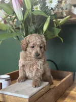 processed/d0c5341e-7bf9-4352-a420-f67d03a43396/listing/a532e1d9-4027-4a98-9df8-29f4f272b774/9d4b263d-9396-4f45-af79-224111ceb914