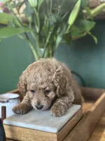 processed/d0c5341e-7bf9-4352-a420-f67d03a43396/listing/a532e1d9-4027-4a98-9df8-29f4f272b774/b1c98384-25b7-45fa-9e49-c0e7e835dbde