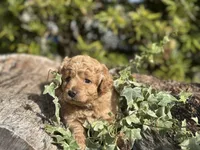 processed/d0c5341e-7bf9-4352-a420-f67d03a43396/listing/a532e1d9-4027-4a98-9df8-29f4f272b774/b498d326-3085-4560-9354-d3f7544ac92d