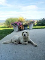 processed/d0ccce29-af3f-49d8-8ba2-74af3a2a75ac/facility/1f7d7314-4974-4c13-8d14-8ab6fc523a2c