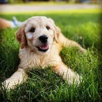 processed/d0ccce29-af3f-49d8-8ba2-74af3a2a75ac/facility/431ef703-1495-4c12-8584-ad0417479e89