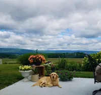 processed/d0ccce29-af3f-49d8-8ba2-74af3a2a75ac/facility/46cb96c2-868d-41e6-a36d-c67238d4ba80