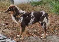 processed/d0cd173d-51e5-40ea-bd65-412659412887/listing/3fece1cb-c288-4681-bcdf-475a28a94843/1e4751f4-b8c5-437a-9952-4474220a5a19