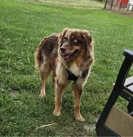 processed/d0cd173d-51e5-40ea-bd65-412659412887/listing/3fece1cb-c288-4681-bcdf-475a28a94843/2cea2442-8cbf-4e5b-a1c2-0c8d3f1dcca7