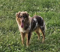 processed/d0cd173d-51e5-40ea-bd65-412659412887/listing/3fece1cb-c288-4681-bcdf-475a28a94843/e4149717-5273-4a12-8650-94af05418785