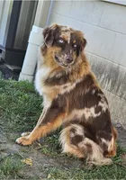 processed/d0cd173d-51e5-40ea-bd65-412659412887/listing/3fece1cb-c288-4681-bcdf-475a28a94843/fb809489-db98-4d44-866e-d1184cb08c5e