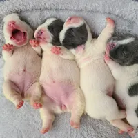 processed/d0d058f5-efe3-4223-86d7-c0c40863bb5c/facility/347f38ba-c6f2-47df-9c97-5bba6e23736b