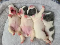 processed/d0d058f5-efe3-4223-86d7-c0c40863bb5c/facility/347f38ba-c6f2-47df-9c97-5bba6e23736b