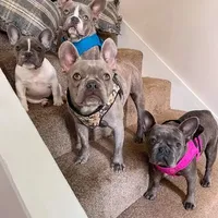 processed/d0d058f5-efe3-4223-86d7-c0c40863bb5c/facility/7e5e4492-4dbd-4c09-9ed3-31b2539f0744