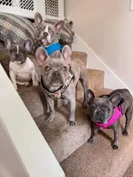 processed/d0d058f5-efe3-4223-86d7-c0c40863bb5c/facility/7e5e4492-4dbd-4c09-9ed3-31b2539f0744