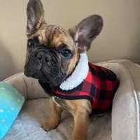 processed/d0d058f5-efe3-4223-86d7-c0c40863bb5c/facility/917388e8-cbca-4a6d-b6dd-b7f3dc81bb6c