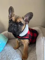 processed/d0d058f5-efe3-4223-86d7-c0c40863bb5c/facility/917388e8-cbca-4a6d-b6dd-b7f3dc81bb6c