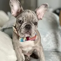 processed/d0d058f5-efe3-4223-86d7-c0c40863bb5c/facility/d607ee4f-2b38-4c10-bd63-d980c67ee2fa