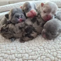 processed/d0d058f5-efe3-4223-86d7-c0c40863bb5c/facility/fb726d91-054e-446a-881d-5aa1fd8540ce