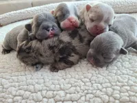 processed/d0d058f5-efe3-4223-86d7-c0c40863bb5c/facility/fb726d91-054e-446a-881d-5aa1fd8540ce