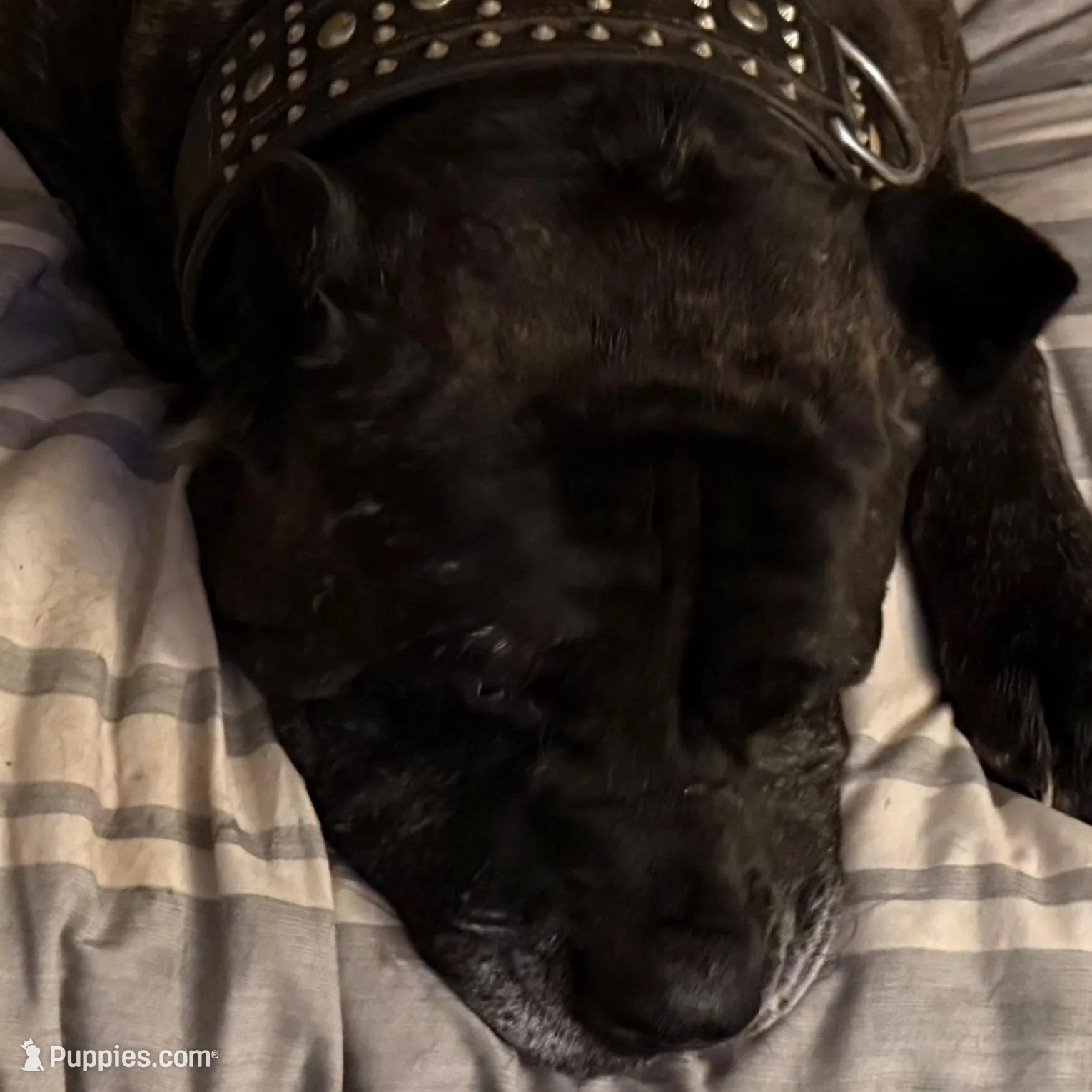 processed/d0d4aa01-c47d-472d-8f7e-3eee8fb9d90f/facility/5365a8f0-dc91-4013-90bc-89d87c1a117e