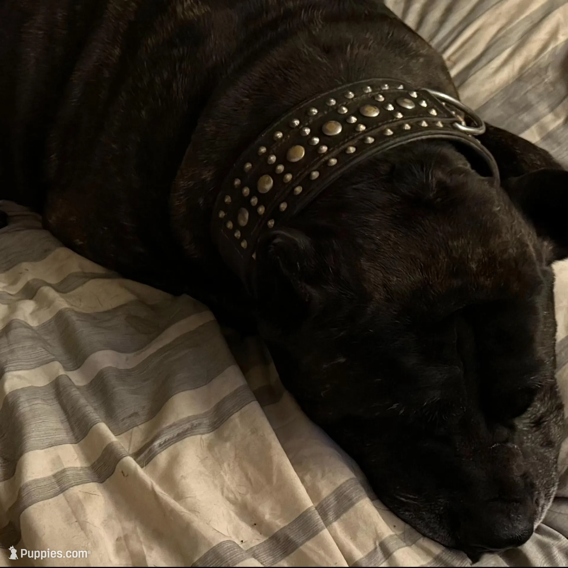 processed/d0d4aa01-c47d-472d-8f7e-3eee8fb9d90f/facility/9aa20a8e-a250-4f7b-bc1b-7085700da300