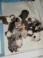 processed/d0d87969-5506-4b2e-ae19-f658187c2837/facility/2e7ad7fc-2742-42af-ae90-b446ea7d248a