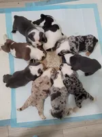 processed/d0d87969-5506-4b2e-ae19-f658187c2837/facility/6e7f0b3b-563f-4afd-a5b8-ce5935ced9ca