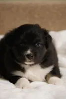 processed/d0d99871-3301-4873-8b67-7d1172188a30/listing/a0d9f5b4-12ec-420b-9c3d-001fd7391519/8f2eed16-91cd-40a8-99b0-6f5ac2779bfb