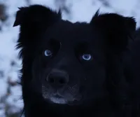 processed/d0d99871-3301-4873-8b67-7d1172188a30/listing/a0d9f5b4-12ec-420b-9c3d-001fd7391519/c7aef414-3427-4b1d-877b-b9d35ac36f8a