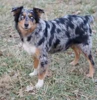 processed/d0d99871-3301-4873-8b67-7d1172188a30/listing/a0d9f5b4-12ec-420b-9c3d-001fd7391519/d3de080c-3c27-4e33-afc5-643276f3882d