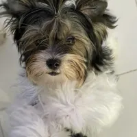 processed/d0e27dfc-28b6-4f05-8f3d-b19187231ffe/facility/2108f947-5923-442d-a985-3473e822be24