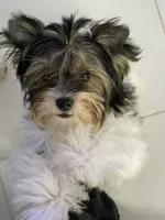 processed/d0e27dfc-28b6-4f05-8f3d-b19187231ffe/facility/2108f947-5923-442d-a985-3473e822be24