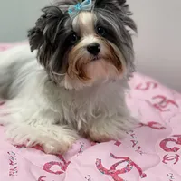 processed/d0e27dfc-28b6-4f05-8f3d-b19187231ffe/facility/2527f1ad-8acf-4bf3-9e67-f435f572d243