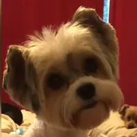 processed/d0e27dfc-28b6-4f05-8f3d-b19187231ffe/facility/672354aa-009d-4e78-972c-95867d084aff