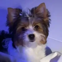 processed/d0e27dfc-28b6-4f05-8f3d-b19187231ffe/facility/7983dda0-fbd2-442d-b674-8079fc5dcb91