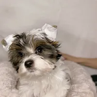 processed/d0e27dfc-28b6-4f05-8f3d-b19187231ffe/facility/8fc7d065-476c-46c0-9e90-e96d40a0435f