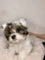 processed/d0e27dfc-28b6-4f05-8f3d-b19187231ffe/facility/8fc7d065-476c-46c0-9e90-e96d40a0435f